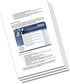 Windsor Insurance website critique