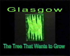 Glasgow: The Tree That Wants To Grow
